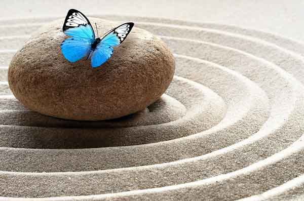 Butterfly Mindfulness