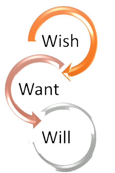 Wish Want Will
