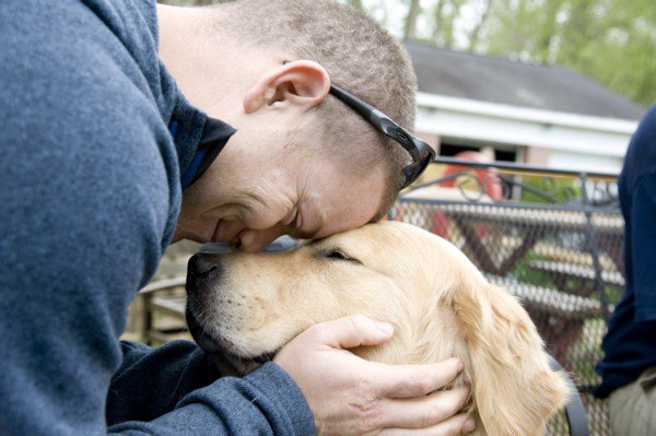 Animal-Assisted Therapy, Veterinary Social Work, & Social Work With People  & Pets in Crisis 